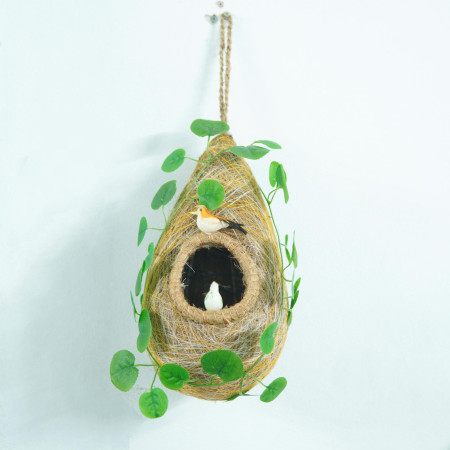 পাখির বাসা - Bird Nest